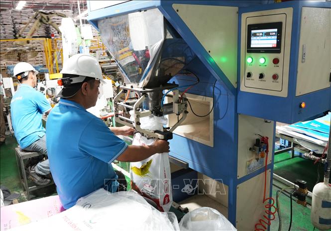 Công nhân sản xuất tại Công ty TNHH Hải Đại (Khu công nghiệp Hòa Phú, xã Phú Quới, tỉnh Vĩnh Long). Ảnh: Phạm Minh Tuấn-TTXVN.