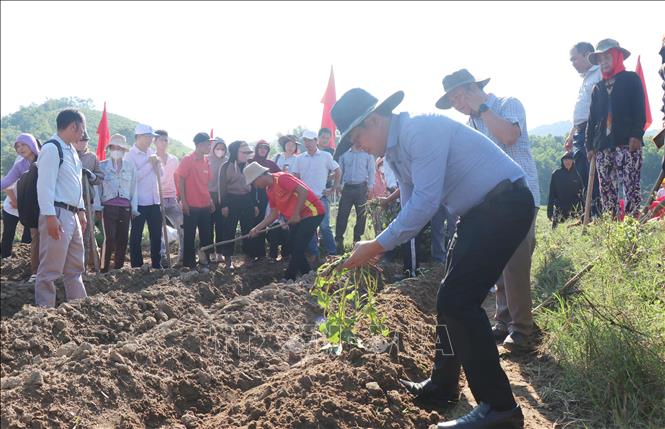 Ông Trần Hùng–Tổng Giám đốc Công ty TNHH MTV Nông nghiệp xanh Tony Farm Đà Lạt hướng dẫn người dân trồng chăm sóc cây khoai lang Nhật liên kết với công ty trên cánh đồng. Ảnh: Phạm Cường-TTXVN