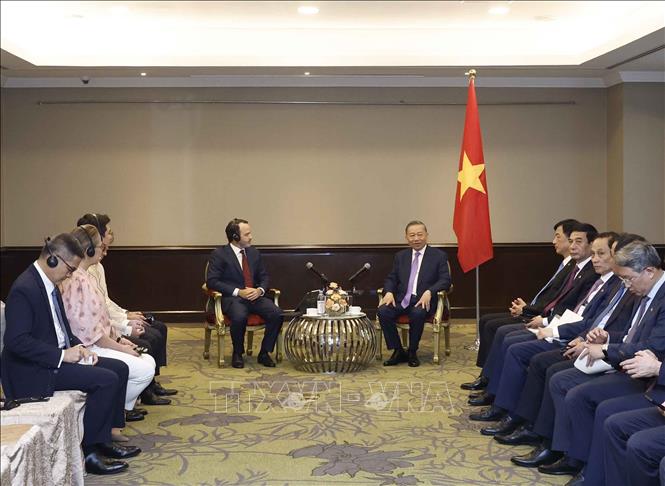 Tổng Bí thư, Chủ tịch nước Tô Lâm tiếp ông Tristan Aboitiz, Chủ tịch kiêm Tổng Giám đốc điều hành Tập đoàn Aboitiz Foods. Ảnh: Thống Nhất – TTXVN