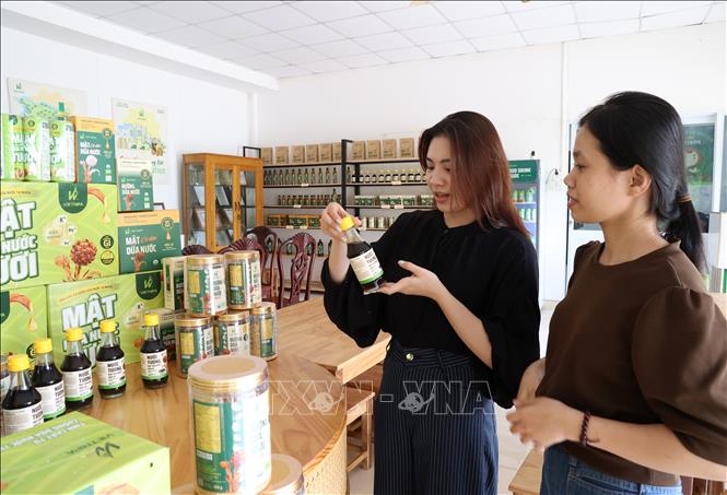 Khách tìm hiểu về các sản phẩm từ mật dừa nước của Công ty CP Phát triển Dừa nước Việt Nam (Vietnipa), xã Bình Khánh. Ảnh: Hồng Đạt - TTXVN