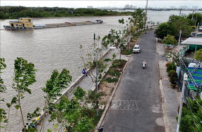 Đường giao thông xanh với hệ thống kè bảo vệ môi trường, chống sạt lở khu vực ấp Bình Mỹ, xã Bình Khánh (Thành phố Hồ Chí Minh). Ảnh: Hồng Đạt - TTXVN