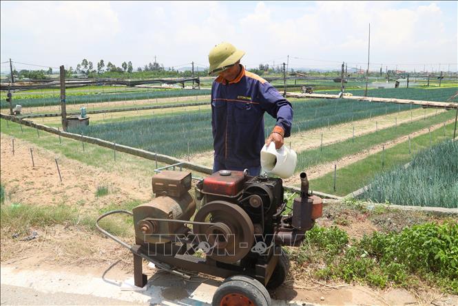 Nông dân kiểm tra, cung cấp nước làm mát cho máy nổ phát điện để chạy máy bơm đã vận hành nhiều giờ đồng hồ giữa nắng gắt. Ảnh: Xuân Tiến - TTXVN 
