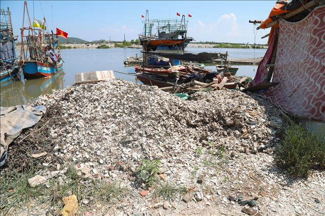 Vỏ hàu đổ tràn lan bên bờ của luồng tuyến khu neo đậu tàu, thuyền khu vực cảng cá Lạch Cờn (tỉnh Nghệ An). Ảnh: Xuân Tiến - TTXVN 