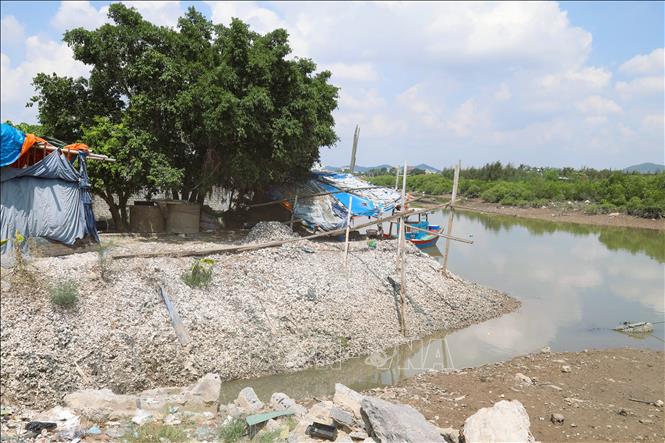 Người dân địa phương sử dụng hàng tấn vỏ hàu đổ xuống nước, lấn chiếm lưu vực cuối dòng sông Hoàng Mai, tạo điểm nghẽn tại cống thoát nước dân sinh. Ảnh: Xuân Tiến - TTXVN 