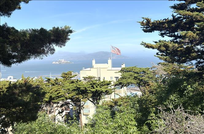 Từ trên cao, Vịnh San Francisco trải rộng như một bức tranh sống động giữa thiên nhiên và đô thị hiện đại. Ảnh: Ngọc Quang – PV TTXVN tại Mỹ