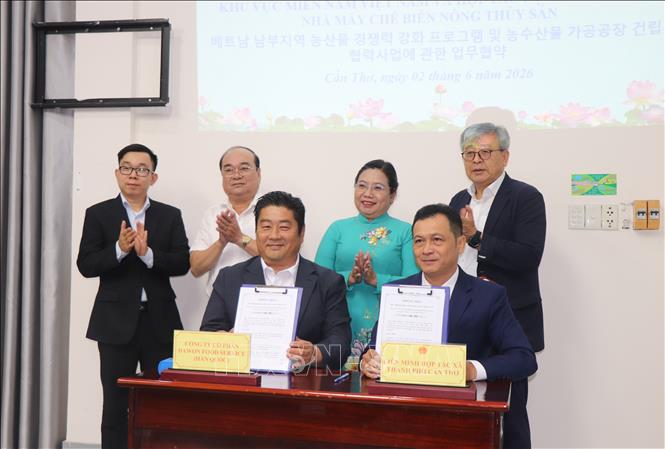 Đại diện Liên minh Hợp tác xã thành phố Cần Thơ và Công ty Cổ phần Dawon Food Service (Hàn Quốc) ký kết ghi nhớ hợp tác. Ảnh: Thu Hiền - TTXVN