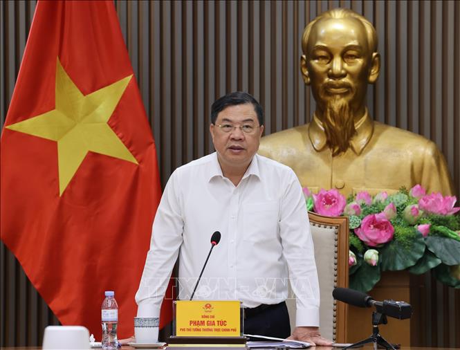 Phó Thủ tướng Thường trực Phạm Gia Túc phát biểu chỉ đạo. Ảnh: Lâm Khánh - TTXVN