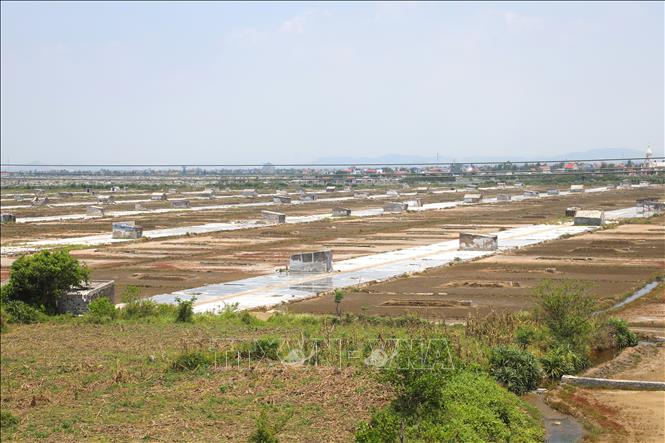 Đầu giờ chiều trời nắng gắt, cánh đồng muối xã Quỳnh Phú (tỉnh Nghệ An) vắng bóng người do diêm dân lùi thời gian ra đồng muối lao động, sản xuất. Ảnh: Xuân Tiến - TTXVN 
