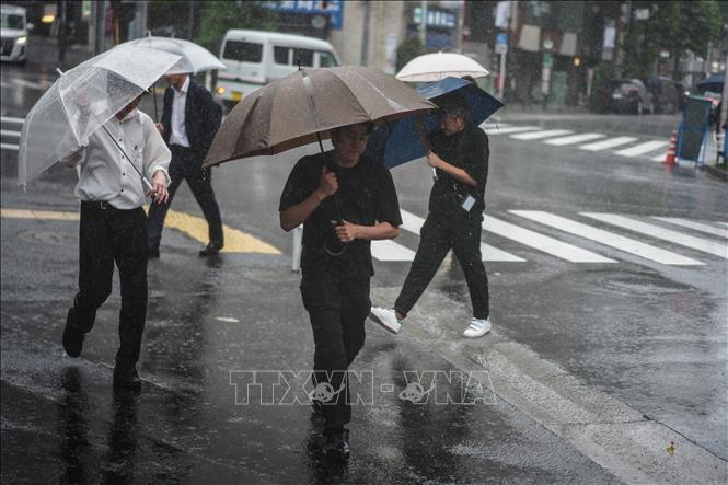 Bão Jangmi gây mưa lớn tại thủ đô Tokyo, Nhật Bản ngày 3/6/2026. Ảnh: THX/TTXVN