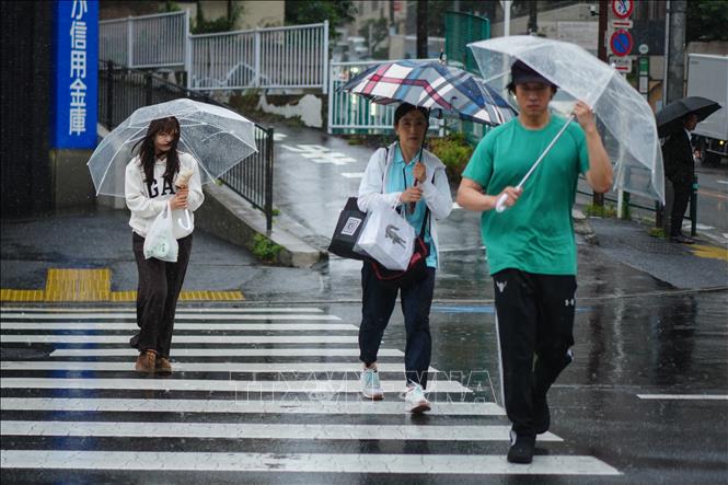 Bão Jangmi gây mưa lớn tại thủ đô Tokyo, Nhật Bản ngày 3/6/2026. Ảnh: THX/TTXVN