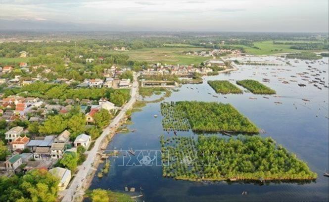 Rừng ngập mặn ven đầm phá Tam Giang phát triển xanh tốt nằm án ngữ trước những ngôi làng ở khu vực xã Quảng Lợi, huyện Quảng Điền không chỉ góp phần bảo vệ môi trường sinh thái, giúp tích lũy phù sa, tạo điều kiện phát triển sinh kế cho người dân mà còn tạo thành những điểm du lịch hấp dẫn, thu hút du khách tham quan Ảnh: Hồ Cầu - TTXVN 
