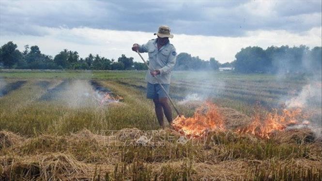 Ô nhiễm môi trường từ việc đốt rơm rạ là vô cùng nghiêm trọng bởi trong khói đốt rơm rạ có các hạt bụi nhỏ, bồ hóng muội than, khí CO, CO2, SO2, NO2...Trong ảnh: Nông dân ấp Thanh Trung, xã Thanh Điền đốt đồng sau khi thu hoạch lúa vụ thu đông 2015, làm cả vùng quê mù mịt khói trắng xóa. Ảnh: Thanh Tân - TTXVN
