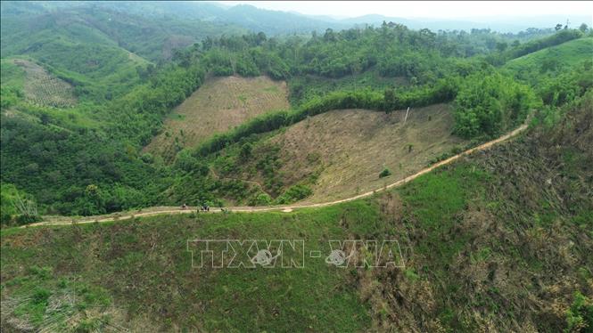 Tình trạng lấn chiếm đất rừng trên lâm phần được giao cho Ban quản lý rừng phòng hộ Đắk Glong - Gia Nghĩa (phường Bắc Gia Nghĩa, tỉnh Lâm Đồng) quản lý. Ảnh: Nguyễn Huy Thành – TTXVN