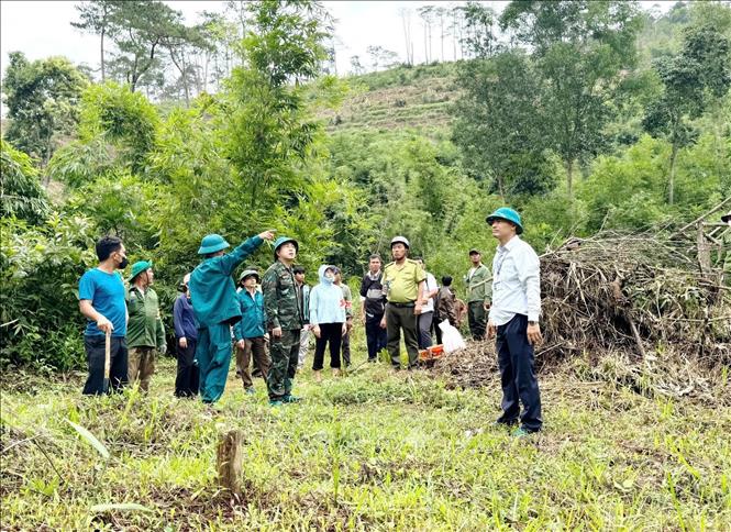 UBND xã Quảng Khê (Lâm Đồng) tổ chức cưỡng chế, khôi phục lại 7,3ha đất lâm nghiệp đã bị trồng cây nông nghiệp trái phép và 27,7ha bị lấn chiếm chưa đưa vào sản xuất tại khoảnh 1, tiểu khu 1791, bon Phi Mur. Ảnh: TTXVN phát