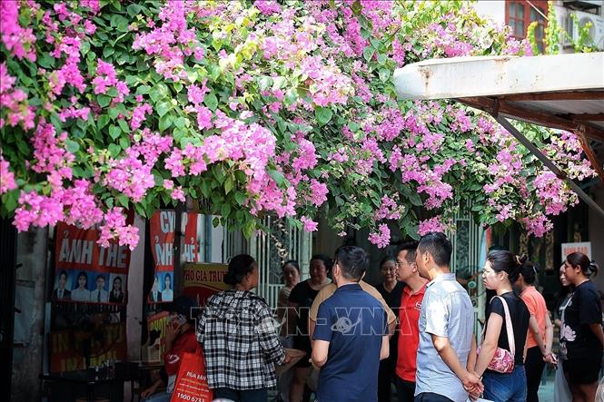 Các hộ dân tổ 75, phường Kim Liên tập trung rất đông để quan sát quá trình đo đạc. Ảnh: Phạm Tuấn Anh - TTXVN