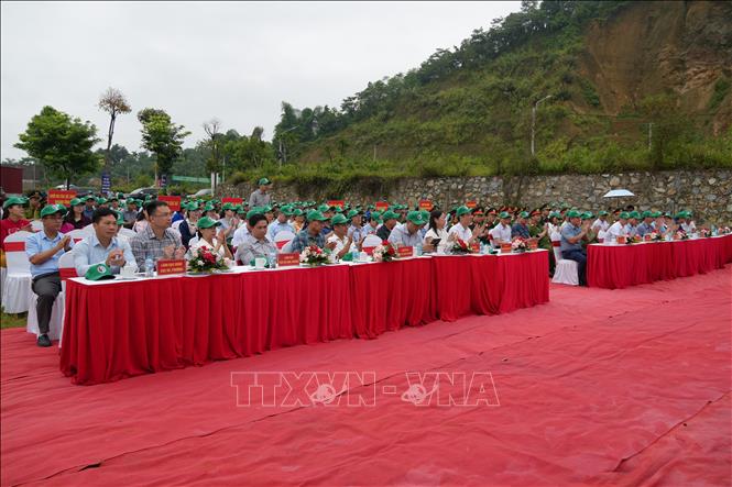 Các đại biểu tham dự lễ phát động. Ảnh: Tuấn Khôi - TTXVN