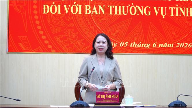 Bí thư Trung ương Đảng, Phó Chủ tịch nước Võ Thị Ánh Xuân, Trưởng Đoàn kiểm tra, giám sát số 29 của Bộ Chính trị, Ban Bí thư phát biểu tại hội nghị. Ảnh: Văn Sĩ - TTXVN