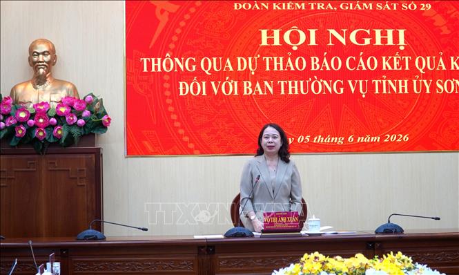 Bí thư Trung ương Đảng, Phó Chủ tịch nước Võ Thị Ánh Xuân, Trưởng Đoàn kiểm tra, giám sát số 29 của Bộ Chính trị, Ban Bí thư phát biểu tại hội nghị. Ảnh: Văn Sĩ - TTXVN