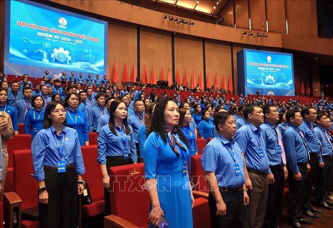 Các đại biểu thực hiện nghi thức chào cờ. Ảnh: Tuấn Anh - TTXVN