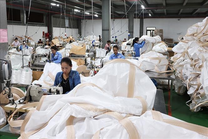 May sản phẩm bao bì xuất khẩu ở nhà máy của Công ty Cổ phần Bao bì Sông La Xanh, Cụm công nghiệp Đức Thọ, xã Đức Thọ, tỉnh Hà Tĩnh. Ảnh: Vũ Sinh - TTXVN