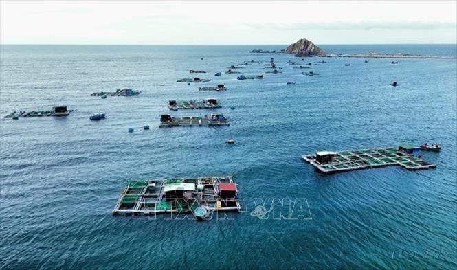 Mô hình nuôi tôm hùm, cá biển trong lồng bè áp dụng công nghệ mới tại xã Ninh Hải (Khánh Hòa) không chỉ cung cấp môi trường canh tác sạch sẽ, an toàn mà còn giảm áp lực lên vùng biển ven bờ, giúp hạn chế ô nhiễm và xung đột sinh thái. Ảnh Nguyễn Thành - TTXVN