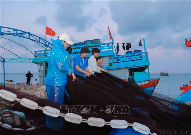 Ngư dân tại đặc khu Lý Sơn (Quảng Ngãi) tập huấn về bảo tồn biển, rùa biển và hệ sinh thái biển; được trang bị kiến thức, kỹ năng cứu hộ, giám sát, góp phần lan tỏa ý thức bảo vệ đại dương bền vững. Ảnh: Phan Phương – TTXVN