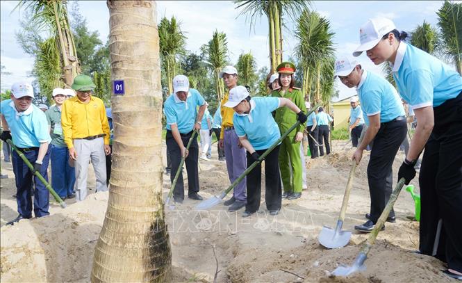 Bà Bùi Thị Minh Hoài Chủ tịch Ủy ban Trung ương MTTQ Việt Nam tham gia trồng cây xanh trên bãi biển Cửa Lò. Ảnh: Trịnh Duy Hưng - TTXVN 