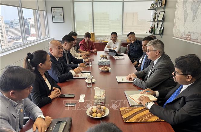 Đại diện hai bên đang thảo luận về triển khai dự án hợp tác mới giai đoạn 2026-2030. Ảnh: Hà Linh - TTXVN