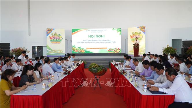 Quang cảnh hội nghị. Ảnh: Nhựt An - TTXVN