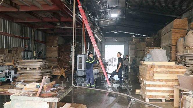 Lực lượng cứu hỏa kịp thời khống chế đám cháy, bảo vệ an toàn xưởng gỗ chứa hàng nghìn m³ nguyên liệu. Ảnh: Hoàng Ngọc – TTXVN 
