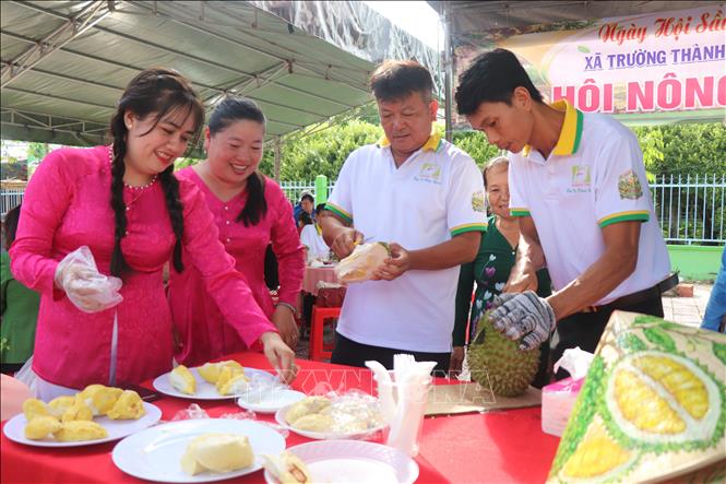 Giới thiệu các loại sầu riêng. Ảnh: Thu Hiền - TTXVN