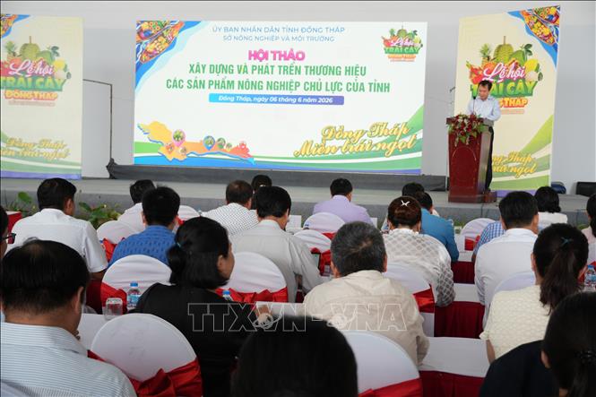 Quang cảnh Hội thảo. Ảnh: Công Trí-TTXVN