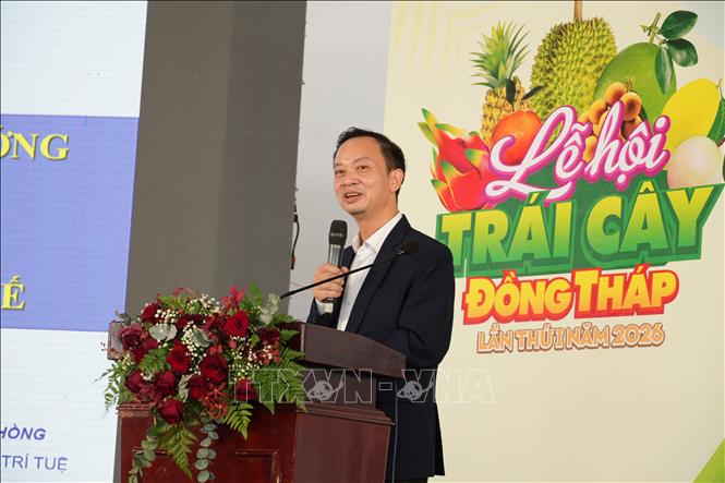 Ông Trần Giang Khuê, Trưởng Văn phòng miền Nam, Cục Sở hữu trí tuệ tham luận tại Hội thảo. Ảnh: Công Trí-TTXVN