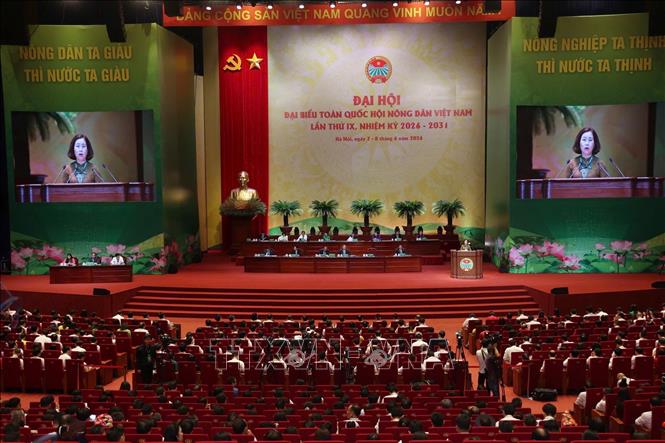 Phó Chủ tịch Hội Nông dân Việt Nam Bùi Thị Thơm thông báo về các Trung tâm thảo luận và hướng dẫn thảo luận tại 4 tổ. Ảnh: Hoàng Hiếu - TTXVN