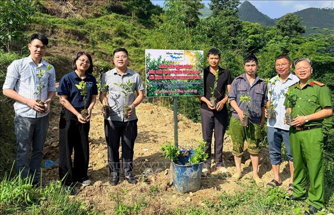 Mô hình trồng chanh tứ mùa góp phần tạo sinh kế cho người dân thôn Ma Lé, xã Lũng Cú (Tuyên Quang). Ảnh: TTXVN phát
