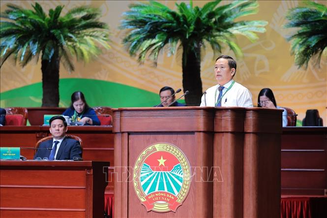 Đại biểu Nguyễn Văn Cọp, Uỷ viên Ban Chấp hành Trung ương Hội, Chủ tịch Hội Nông dân tỉnh An Giang trình bày tham luận tại Đại hội. Ảnh: Lê Đông - TTXVN