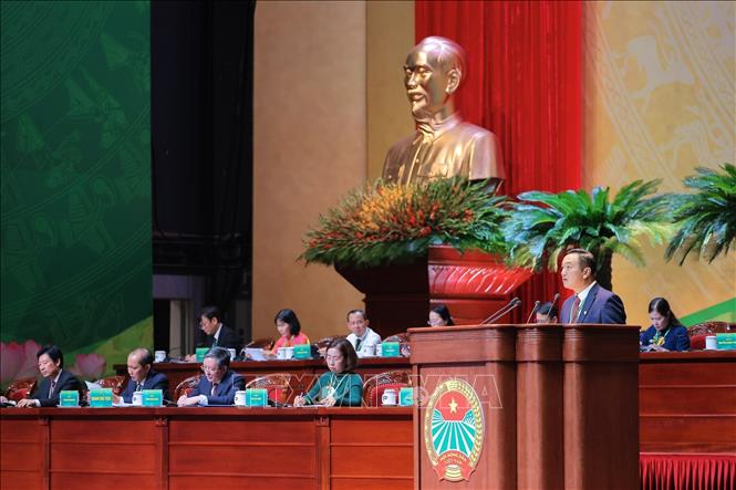 Đại biểu Nguyễn Hoàng Trung, Chủ tịch Hội Nông dân tỉnh Bắc Ninh trình bày tham luận tại Đại hội. Ảnh: Lê Đông - TTXVN