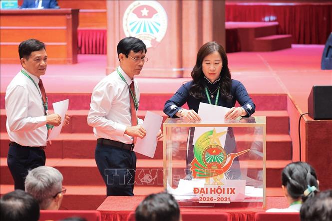 Các đại biểu bỏ phiếu bầu Ban Chấp hành Hội Nông dân Việt Nam khoá IX. Ảnh: Lê Đông - TTXVN