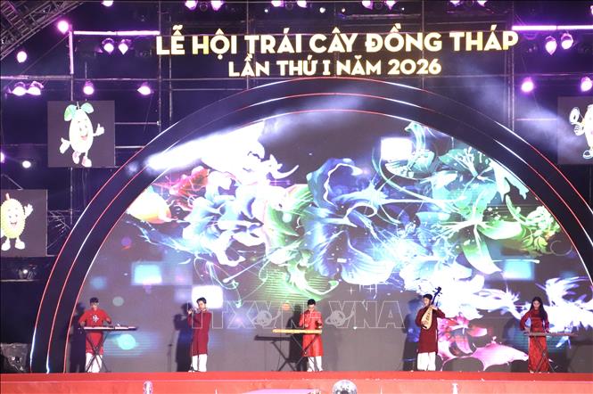 Trình diễn nhạc cụ dân tộc. Ảnh: Hồng Nhung - TTXVN 