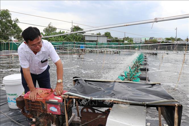 Ao nuôi tôm thẻ chân trắng công nghệ cao của gia đình ông Ngô Văn Thới, ấp Tân Thành, xã Long Thành được đầu tư đồng bộ hệ thống kỹ thuật. Ảnh: Thanh Hòa - TTXVN
