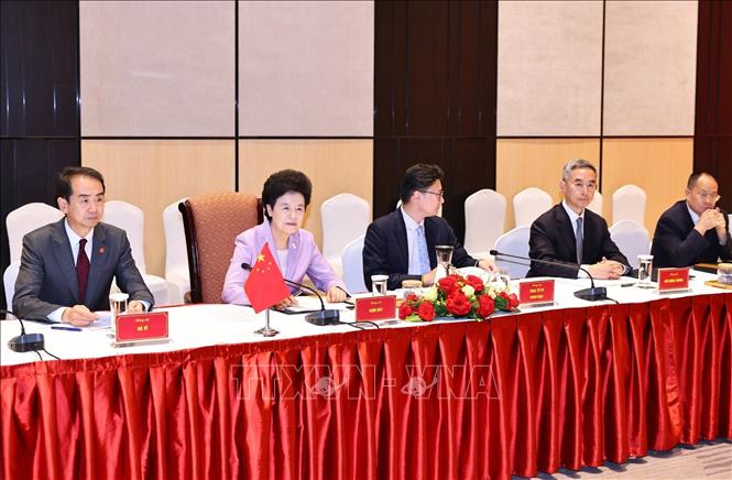 Đồng chí Hàm Huy, Phó Chủ tịch Chính hiệp Toàn quốc Trung Quốc phát biểu. Ảnh: Minh Đức – TTXVN