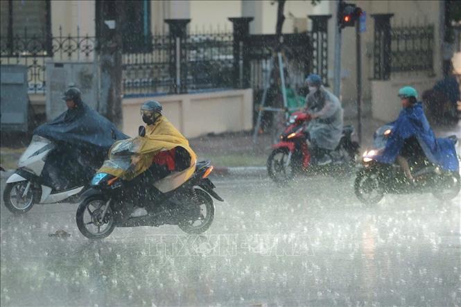 Mưa giông diện rộng trên địa bàn Hà Nội giúp giải toả bầu không khí oi nóng nhiều ngày qua. Ảnh: Minh Quyết - TTXVN