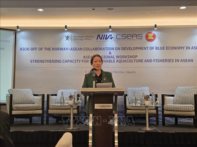 Bà Mariann Ruud Hagen, Đại sứ Na Uy tại ASEAN phát biểu tại sự kiện. Ảnh: Lê Minh Hưởng - Pv TTXVN tại Indonesia