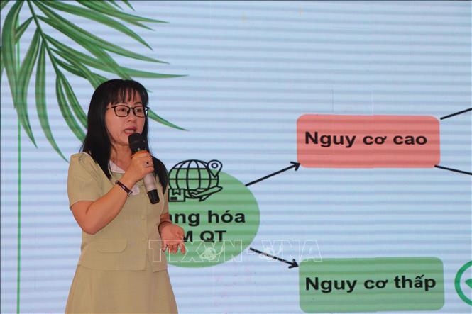 Bà Phạm Thị Thu Hiền, Trung tâm kiểm dịch thực vật sau nhập khẩu II Triển khai một số qui định mới trong quản lý sản xuất và tiêu thụ cây ăn quả theo yêu cầu thị trường trong nước và xuất khẩu. Ảnh: Thu Hiền – TTXVN