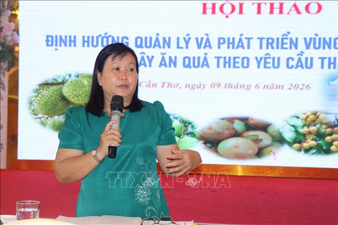 Bà Phạm Thị Minh Hiếu, Chi cục trưởng Chi cục Trồng trọt và Bảo vệ thực vật TP. Cần Thơ giải đáp thắc mắc về đăng ký mã số vùng trồng cho các hợp tác xã. Ảnh: Thu Hiền - TTXVN