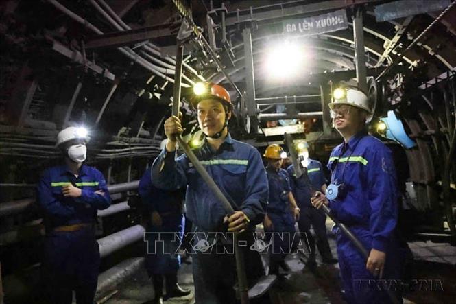 Đảng viên trẻ Niềm Thanh Thủy (SN1992), dân tộc Sán Dìu ở Cẩm Phả (Quảng Ninh) không những luôn hoàn thành tốt công việc được giao, anh còn là một đảng viên trẻ gương mẫu và là Bí thư Chi đoàn xuất sắc tại Công trường Khai thác 10 Công ty Than Khe Chàm - TKV. Ảnh: Minh Đức - TTXVN