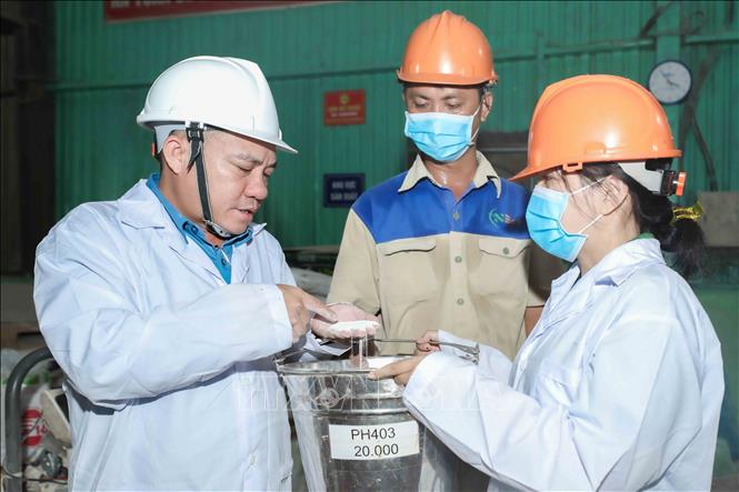 Ông Nguyễn Đình Ngọc, Giám đốc Công ty TNHH Nbee Feed, trực tiếp giám sát quy trình sản xuất và phối trộn sản phẩm, đảm bảo chất lượng đồng nhất, đáp ứng các tiêu chuẩn kỹ thuật khắt khe cho từng lô hàng trước khi cung ứng ra thị trường. Ảnh: Phan Phương - TTXVN