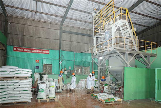 Công nhân nhà máy của Nbee Feed vận hành dây chuyền trộn hiện đại hai tầng từ CHLB Đức sản xuất Premix 4% (hỗn hợp vi chất dinh dưỡng) cho vật nuôi, đảm bảo độ đồng đều tối ưu cho nguyên liệu, nâng cao chất lượng sản phẩm. Ảnh: Phan Phương - TTXVN