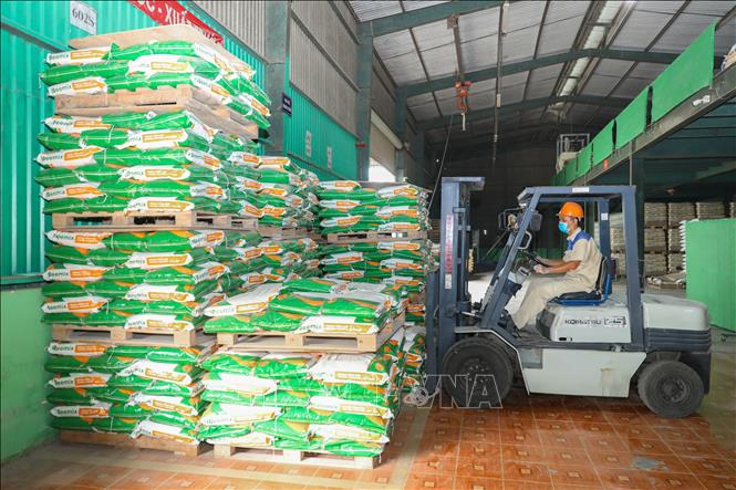 Công ty TNHH Nbee Feed (150B/3 Lộc Hòa,Tp Đồng Nai) chuyên cung cấp hỗn hợp trộn sẵn giúp các trang trại, hộ dân tự trộn thức ăn khắc phục tình trạng thiếu hụt dinh dưỡng, đảm bảo chất lượng chăn nuôi vượt trội. Ảnh: Phan Phương – TTXVN