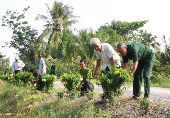 Trong giai đoạn 2019-2024, Hội Cựu chiến binh tỉnh Vĩnh Long triển khai sâu rộng phong trào thi đua “Cựu chiến binh gương mẫu”, qua đó phát huy vai trò của cựu chiến binh trong các lĩnh vực của đời sống xã hội. Ảnh: Lê Thúy Hằng - TTXVN